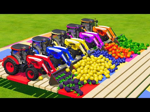 LOAD And TRANSPORT FRUITS WITH LAMBORGHINI AND McCORMICK TRACTORS - Farming Simulator 2022