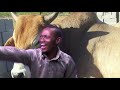 Mduduzi Nezinceku Zamagawugawu - Vutha mlilo (Official Music Video)