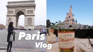 【パリ旅行】フランスでショッピング、グルメ、ディズニーランドを満喫~♩マタニティ旅!paris