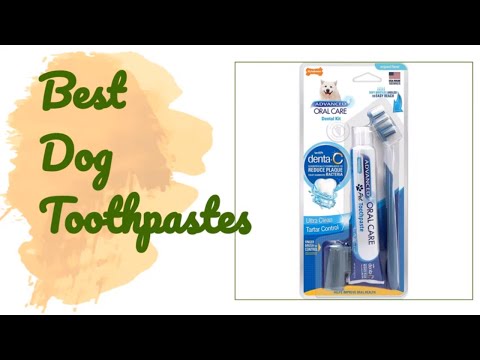 🌵6 Best Dog Toothpastes 2020