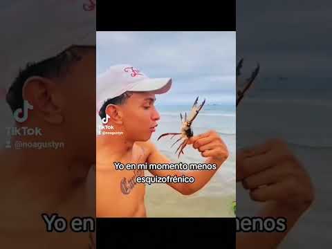 DAME LA RECETA DE LA CANGREBURGER 🦀 #crab #cangrejos #memes