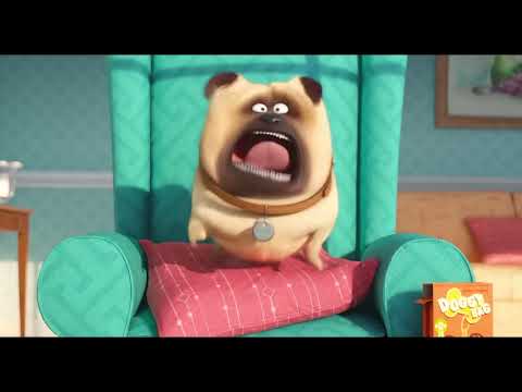 Illumination’s first teaser: pets alone in New York apartments as a jazzy theme sneaks in