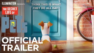 The Secret Life of Pets (2016) Video