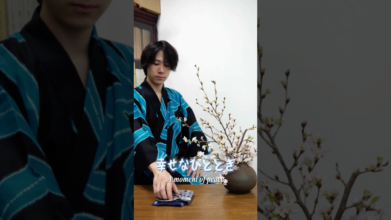 【お家でお花見🌸】桜一種の綺麗な生け方 #生け花 #shorts