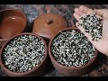 How To Make Sprouts At Home In Sprouts Maker Sprout Maker Demo Sprouts Maker Review And Use