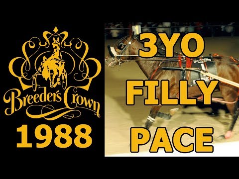 1988 Breeders Crown - Sweet Reflection - 3YO Filly Pace