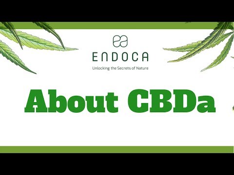 About Cbda Endoca Com