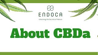 About CBDa - Endoca.com