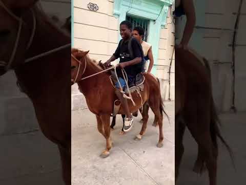 Nuevo  TAXI  rutero en el corazón de la habana . Playa, Marianao , La lisa . CABataxi