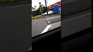 faze tari intra cu masina intr-un copac