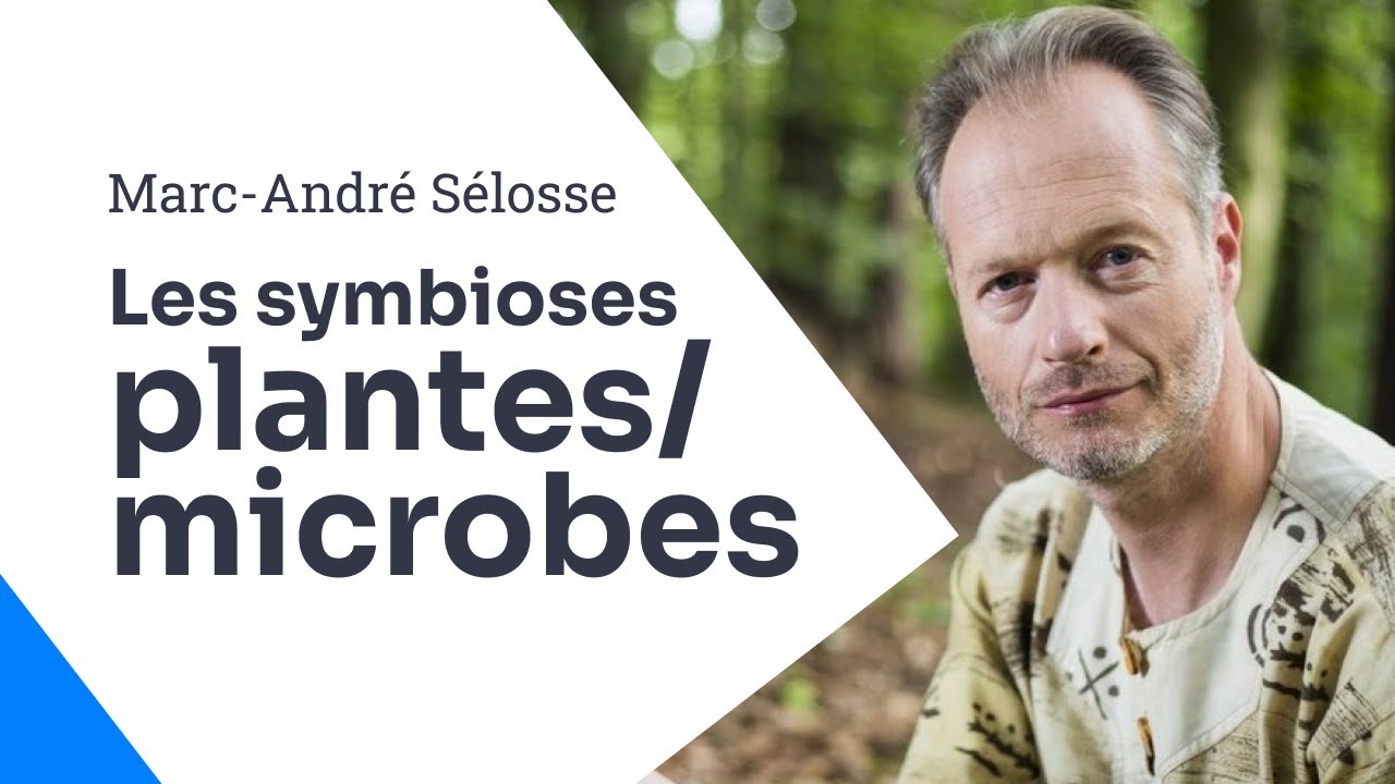 Les symbioses plantes/microbes, Marc-André Sélosse