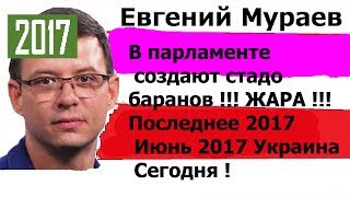 Евгений Мураев В парламенте создают стадо Баранов Украина Сегодня