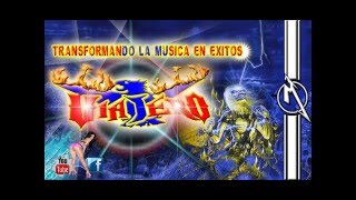 Johnny Nicholas Curb Your Dog rockin'rock n'roll