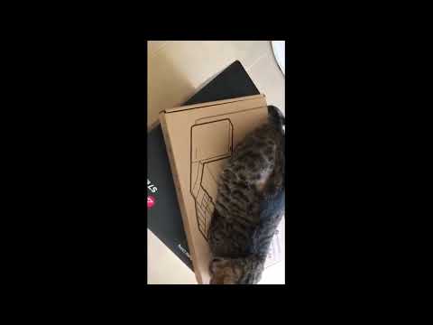 Review Roborock LAVA Drying Module for S7 MaxV Ultra ONLY