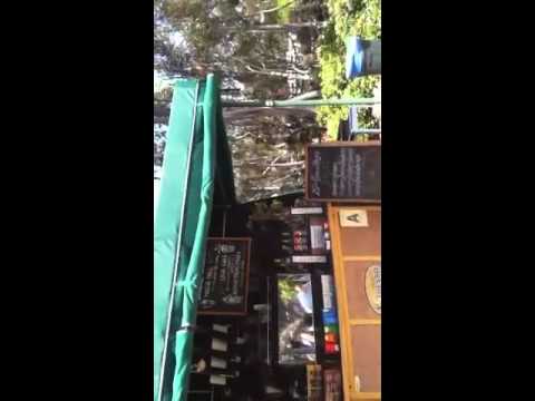 download lagu mp3 mp4 Art Of Espresso Ucsd, download lagu Art Of Espresso Ucsd gratis, unduh video klip Art Of Espresso Ucsd