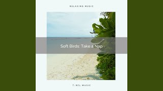 Soft Birds: Take a Nap