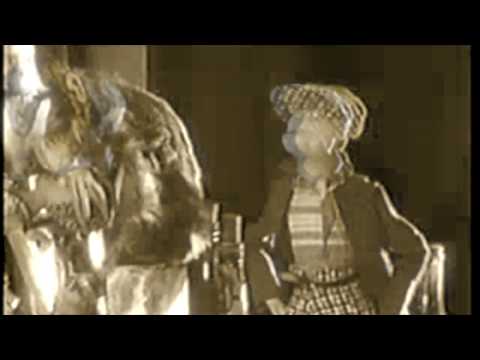 The Geraldine Fibbers - Thank You For Giving Me Life (Official Music Video)