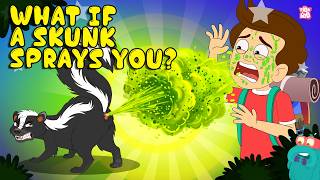 Stinkiest Animal Facts | What if a Skunk Sprays On You? | Skunk Defense Mechanisms | Dr. Binocs