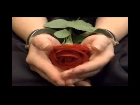 AMANDOTE...DENISE DE KALAFE