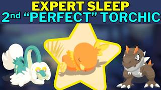 Weekly Sleep: My "Perfect" Torchic that rivals Piggy's #pokemonsleep
