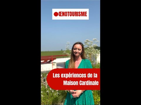 🎥 Maison Cardinale : l’émotion en héritage