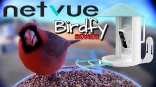 Netvue Birdfy Bird Feeder Camera REVIEW