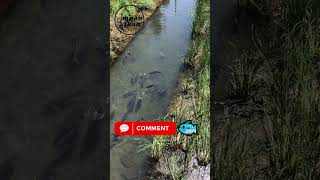 Download lagu What do you do when you find a new fishing spot? mp3 Download lagu What do you do when you find a new fishing spot? mp3