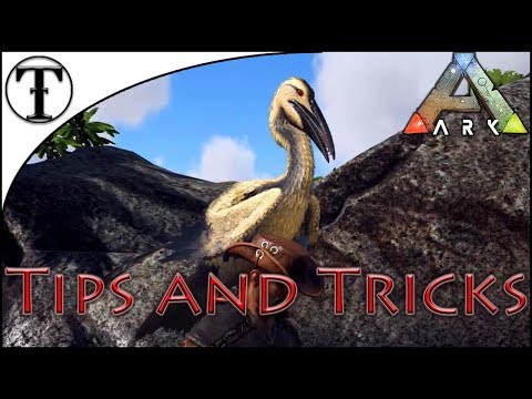 Fast Ichthyornis Taming Guide :: Ark : Survival Evolved Tips and Tricks