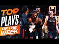 NBA's Top Plays of Week 8 | 2023-24 Season