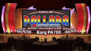 Download lagu 🇲🇨CEK SOUND TANPA KENDANG VERSI NEW PALLAPA DAN JARDUT mp3