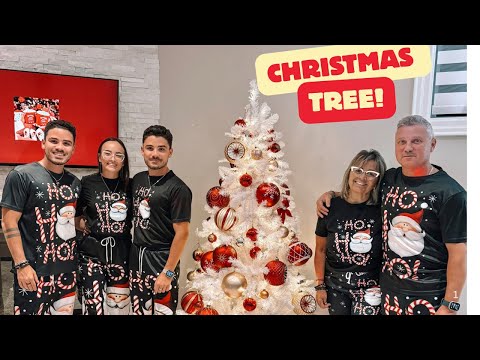 TWO CHRISTMAS TREE IN ONE HOUSE?