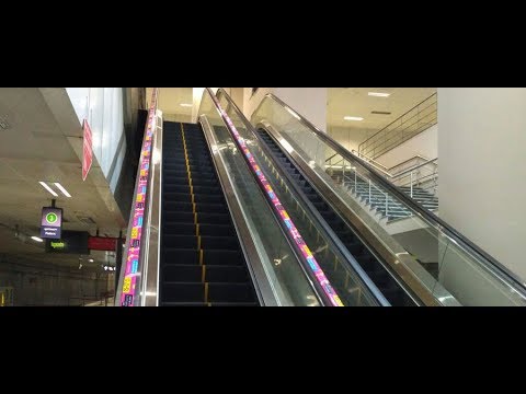 ad-roller showcases tech event on Namma Metro escalator