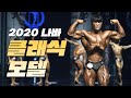 베큠 포즈의 정석ㅣ2020 나바 NABBA 그랑프리 클래식모델 프로