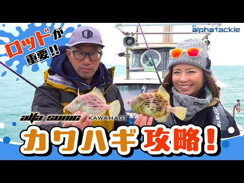 トップ | alphatackle トップ | alphatackle