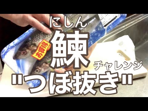 ニシンのつぼ抜きをやってみた！北海道の暮らし｜ハウツー動画ではなく、チャレンジ動画です。
