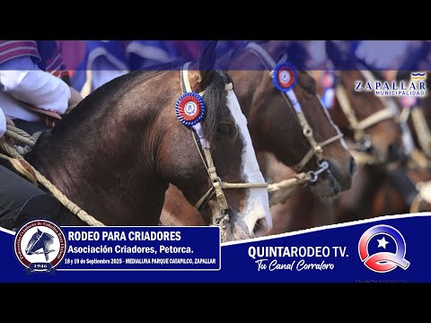 SERIE DE CAMPEONES / Rodeo para Criadores - Asoc. Petorca.