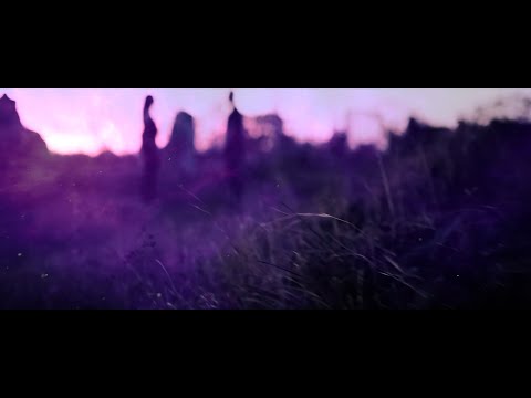 The Genotype - We Are The Void