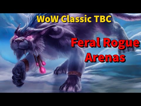 Senzu - Feral Druid TBC PvP - Phase 1 Arena