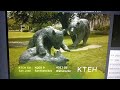 KTEH Station ID October 30 2010 Bear Park Better Version