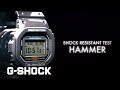 The G/G-SHOCK DW-5600BB-1ER (322)