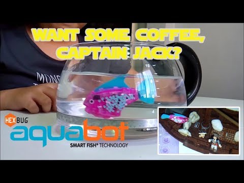 There’s a fish in our coffee! Hexbug Aquabot