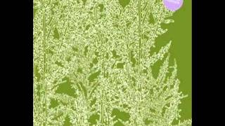 Ricardo Villalobos - What You Say Is More Than I Can Say