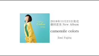 藤田恵美『camomile colors』 Medley (Close to You〜Let It Be~Shape of My Heart~Someday~Wishes/ひだまりの詩＊英語Ver)