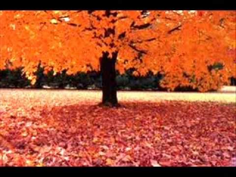 Łasek Spontanicznie prod Pepis