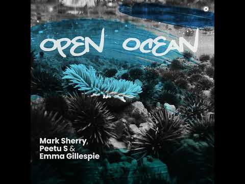 Marc Sherry Peetu S & Emma Gillespie - Open ocean ( Vocal trance )