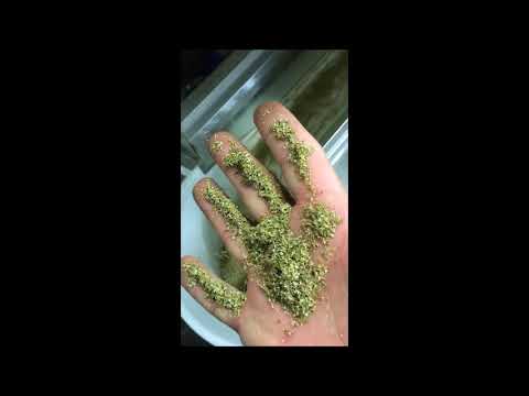 Vibro separator ST II VIBRO - calibration of oregano