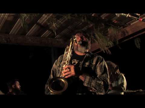 Thumbnail for No Help - Herb & Jellyfish Official Music Video by R.E.M., Head, OK Go, The The, Y&T