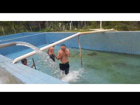 Imagem de apresentação do YouTube