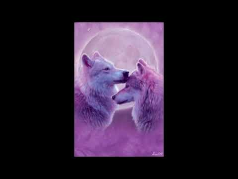 Moveon x Kvcper - Film