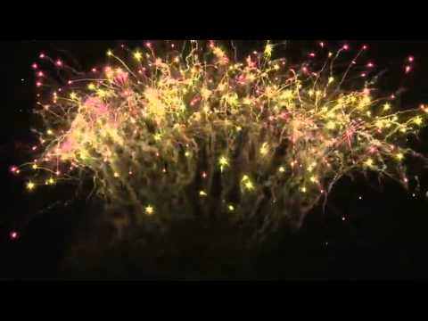 JW4446 182 s. 19 mm X-SHAPE: LEMON CROSSETTE, PURPLE CROSSETTE